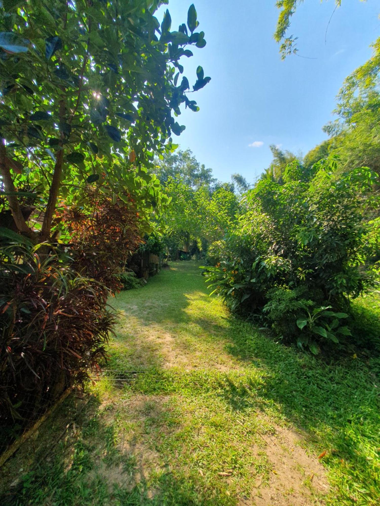 Mind'S Homestay มายด์โฮมสเตย์ Kampong Huaibu Extérieur photo